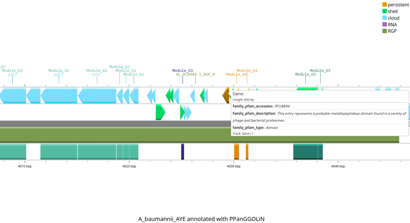 ../_images/proksee_metadata_example.png